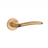 Klamka Aprile Ambrosia Slim 7mm - złoty mat