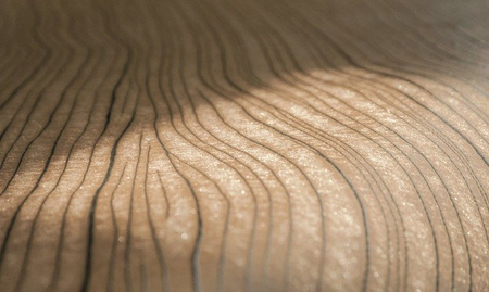 Tapeta Arte Monochrome - Timber 54040