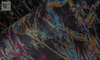 Tapeta Arte Lush - Wildflower 29540