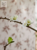 Tapeta Boras Tapeter Eastern Simplicity - Ink Bamboo 3114