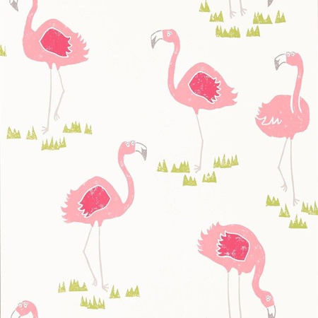 Tapeta Scion Gues Who? - Felicity flamingo 111277
