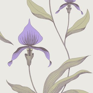 Tapeta Cole&Son New Contemporary - Orchid 66/4024