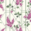 Tapeta Cole&Son Botanical Botanica - Wisteria 115/5013