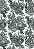 Tapeta Thibaut Tropics - T10123