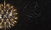Tapeta Arte Moooi Extinct Animals - Calligraphy Bird MO2013