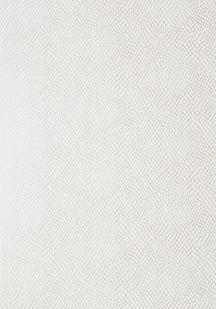 Tapeta Thibaut Greenwood - Yuma T85066