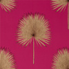 Tapeta Sanderson Glasshouse - Fan Palm 216638