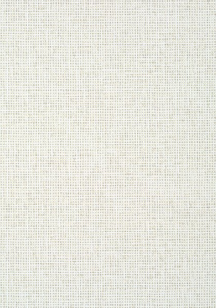 Tapeta Thibaut Tropics - T10150